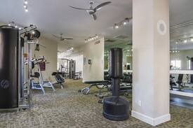 Paradise Valley Village Apartment | Relax in an apt of your own | 2BR in Phoenix