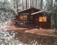 Pine Cabin | Cabin Sweet Cabin in The Cool Pines