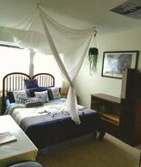 Carbondale Apartment | Ski Aspen Affordably Private Room
