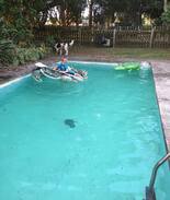 Waipapakauri Other | The Real Far North*Spa and Pool*