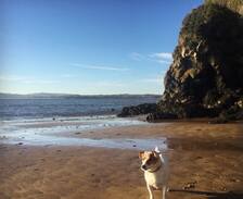 Duncannon House | Plunkett Court, Duncannon, Wexford