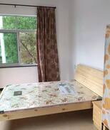 Xiadongdu Apartment | 市中心公寓出租，一室一厅一厨一卫