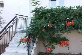 Ormilia House | apartment chalkidiki-sithonia-psakoudia