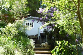 Wentworth Falls House | Cloud Nine Cabin - Wentworth Falls treetop retreat