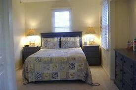 South End Apartment | Modern 1 bedroom apartment, steps from the beach!