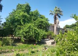 Bitez Villa | Rustic Stone House in Tangerine Gardens @Bitez