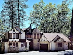 Lakehead-Lakeshore Other | The Castle of Lake Shasta