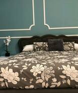 Palencia Apartment | Palencia Double Room