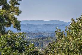 Royal Pines Apartment | Cozy Mountain Retreat - Views, Fire Pit & Hot Tub
