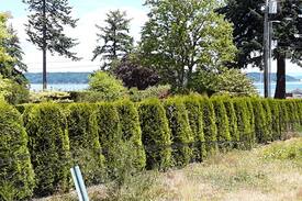 Gig Harbor House | Tudor Mansion in Gig Harbor