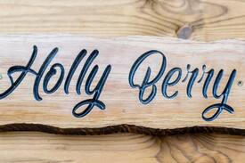 Holmrook Other | Holly Berry - Woodland Pod in the Eskdale Valley