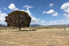Cortez Other | Camp Kush~"Ute View 1"/RV Site~420 Friendly~