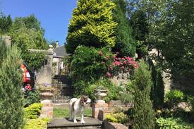 Falkirk Bed & Breakfast | ARDTALLA Lodge, Green Room, Pet Friendly, 1 of 3