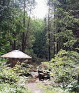 Madawaska Valley Other | A Yurt in the Forest