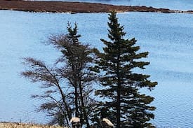 Guysborough County House | Hayden Lake"Mainhouse" fantastic lake view & peace