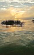 Pineland House | Pink Pelican Island Inn