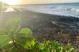 Dorado Pueblo Apartment | Kikita Beach apartment with private beach & pool