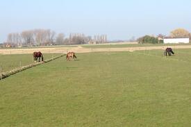 Oudenhoorn House | Cosy countryside bungalow