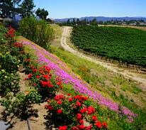 Warner Springs Other | Eco-Camps Temecula - Premium Queen Canvas Cottage