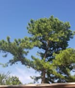 Leflore Cabin | Bob's Weekend Wonders Mountain Retreat