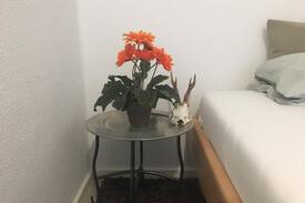 Simmelsdorf Apartment | Private accommodation - 1 minute to the train