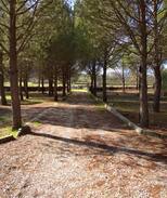 Sotillo de la Adrada Cabin | El Pinar del Rondero J&M En Plena Naturaleza