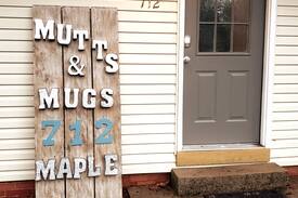 Aiken Cabin | Mutts & Mugs on Maple