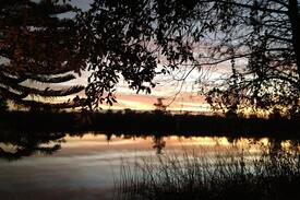 Fort Ogden House | Peace River, Free Kayaking, no cleaning fee