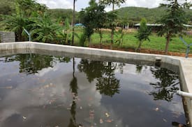 Chikkaballapur Other | Farm House in Nandi Valley (Veg Cook available)