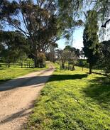 Brukunga House | Piney Ridge Coach House and Equine Stables
