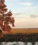 Slidell Cabin | The Pelican Perch