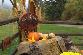Armstrong House | Five K Ranch Guest Cottage