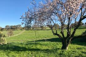 Brukunga House | Piney Ridge Coach House and Equine Stables
