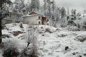 Shangarh Cabin | Shangarh Shine Home Stay - Next to Meadow