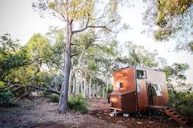 Chittering House | Joey the Tiny Cabin
