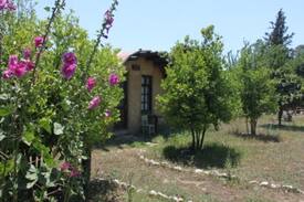 Olympos Bed & Breakfast | Simurg Houses