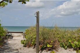 Englewood House | Blue Dolphin on the beach! Sharks teeth, Shells!