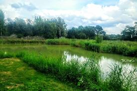 Abbess Roding Other | Lillibelles lake house, Oak tree farm