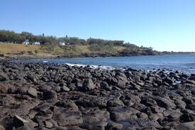 Coral Cove Bed & Breakfast | Beautiful Oceanfront Home, private room & bathroom