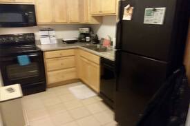 Athens Apartment | Stadium Village Condos Downtown Athens!