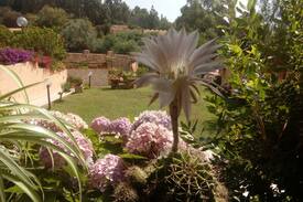 Pula Bed & Breakfast | B&B Calamarina Santa Margherita di Pula