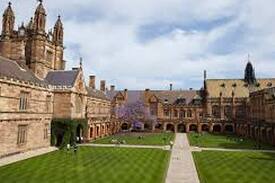 Camperdown Apartment | Large Luxe Light 3BR 2BA Walk to Sydney Uni & RPA
