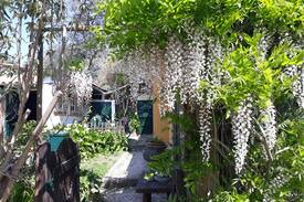 Varzea de Sintra Cabin | Casa da Tomadia,beautiful&quiet cottage in Sintra