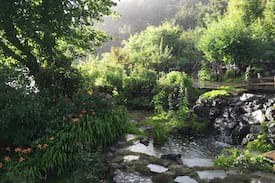 Basalt House | Hillside Gardens