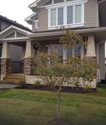 Northeast Edmonton House | Two Private Bedrooms in North East Edmonton