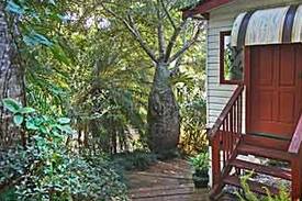 Mount Warning Bed & Breakfast | River Room - King