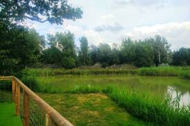 Abbess Roding Other | Lillibelles lake house, Oak tree farm