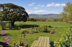 Bushy Park Bed & Breakfast | Roslyn House B&B - The Queen Room