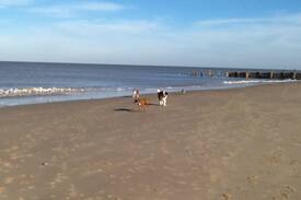 Walcott House | Driftwood, Coastline village, Walcott, Norfolk