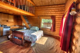 Chicken Cabin | The Chicken Suite